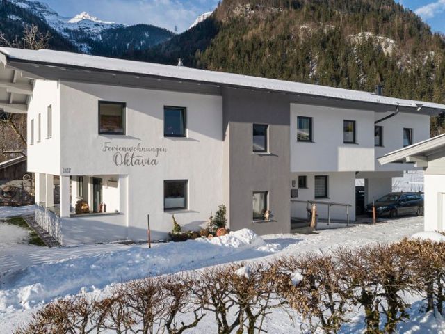 Ferienhaus mit 3 Ferienwohnungen