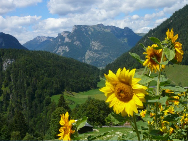 Hotel Pension Madlgut